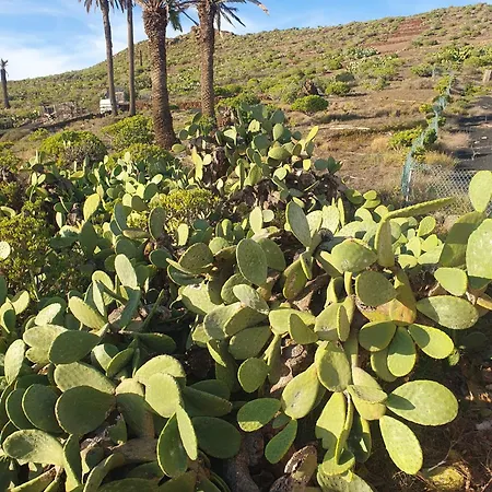 Σπίτι διακοπών Casa La Tunera, Country House, Haria, Lanzarote